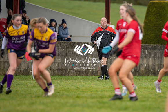 Louth v Wexford (Minor round 2) - 202503221421246000