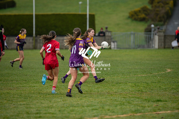 Louth v Wexford (Minor round 2) - 202503221454349600