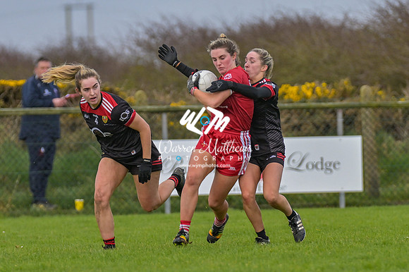 20240316 - Down v Louth (NFL Div 3 Round 6) - 202403171514310600