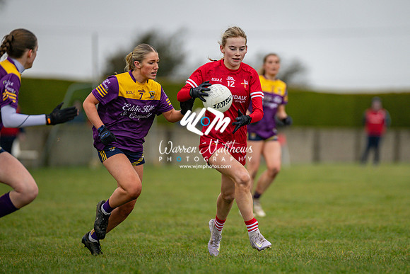 Louth v Wexford (Minor round 2) - 202503221430479900