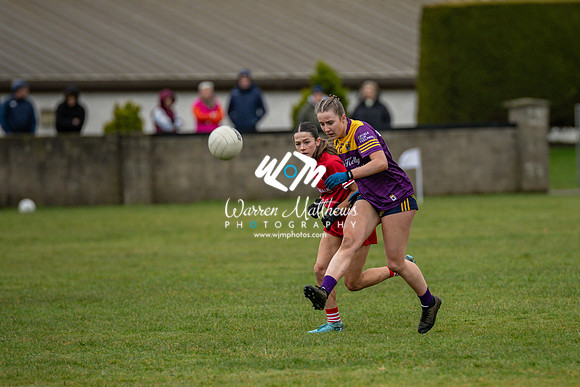 Louth v Wexford (Minor round 2) - 202503221455222800