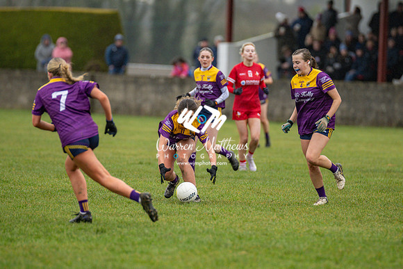 Louth v Wexford (Minor round 2) - 202503221521101400