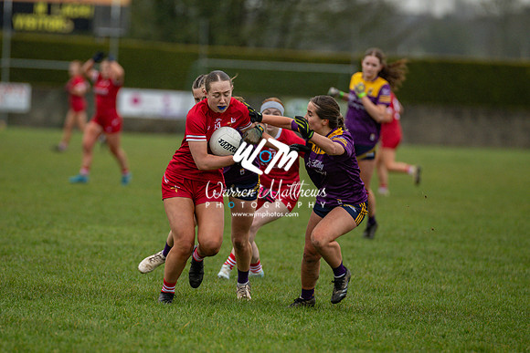 Louth v Wexford (Minor round 2) - 202503221521148400