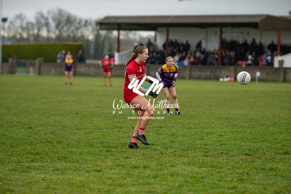 Louth v Wexford (Minor round 2) - 202503221521470300