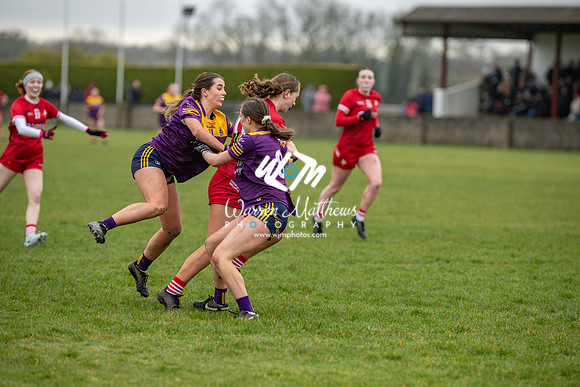 Louth v Wexford (Minor round 2) - 202503221521178600
