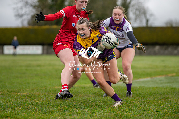 Louth v Wexford (Minor round 2) - 202503221423299100