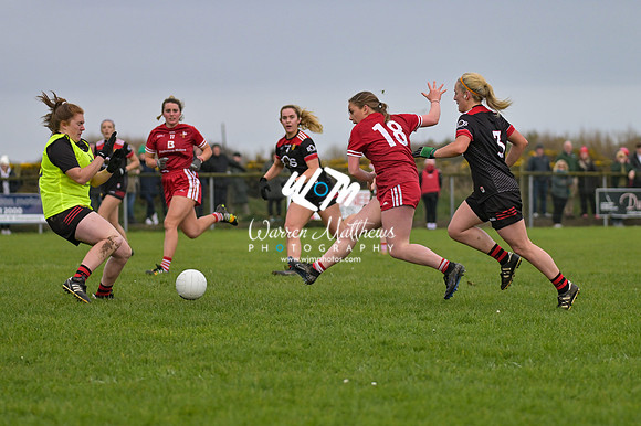 20240316 - Down v Louth (NFL Div 3 Round 6) - 202403171510163400