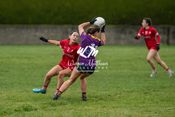 Louth v Wexford (Minor round 2) - 202503221454286400