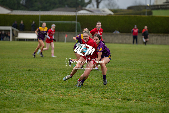 Louth v Wexford (Minor round 2) - 202503221521482100
