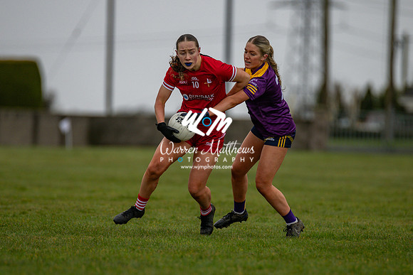 Louth v Wexford (Minor round 2) - 202503221414590500