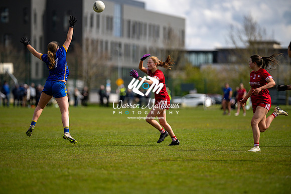 20240427 - Wicklow v Louth (Leinster LGFA Minor C Championship) - 202404271544320900