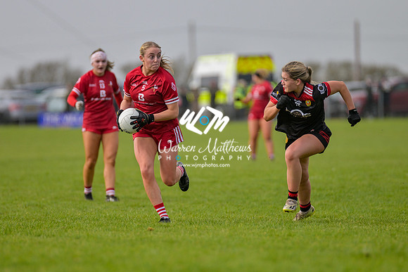 20240316 - Down v Louth (NFL Div 3 Round 6) - 202403171417208100