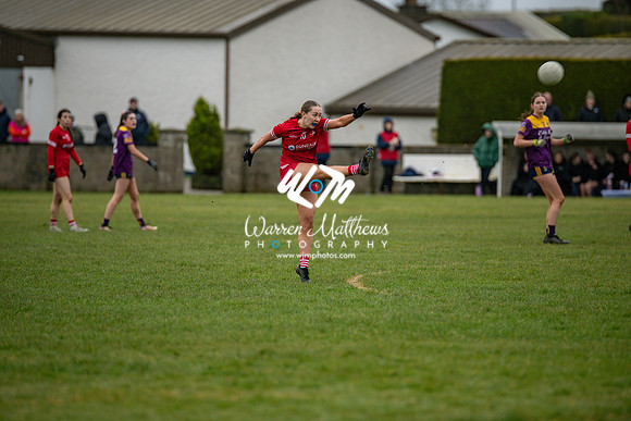 Louth v Wexford (Minor round 2) - 202503221500405000
