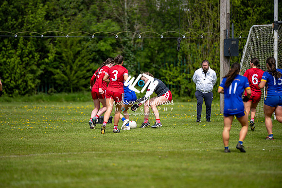 20240427 - Wicklow v Louth (Leinster LGFA Minor C Championship) - 202404271426195800