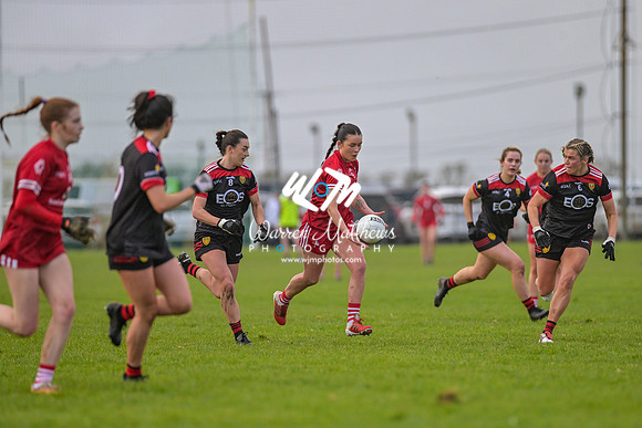 20240316 - Down v Louth (NFL Div 3 Round 6) - 202403171432375800