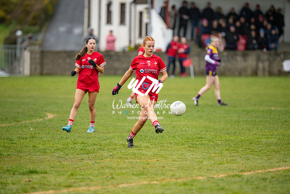Louth v Wexford (Minor round 2) - 202503221455471000