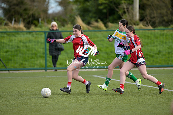 20240303 - Louth vs Clare (NFL Round 5) - 202403031439134900