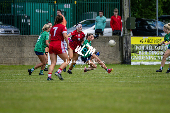 20240616 - Louth v Limerick (TG4 All Ireland JFC) - 202406161358595000