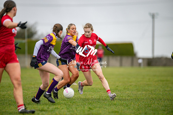 Louth v Wexford (Minor round 2) - 202503221430482800