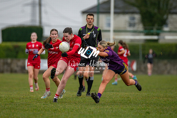 Louth v Wexford (Minor round 2) - 202503221425441300