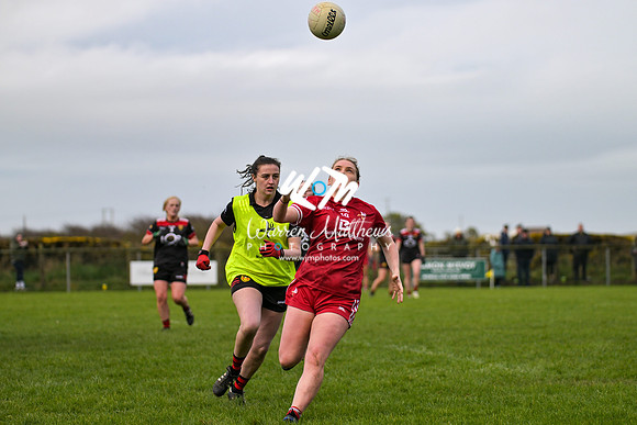 20240316 - Down v Louth (NFL Div 3 Round 6) - 202403171530530400