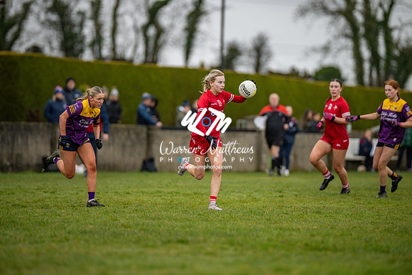 Louth v Wexford (Minor round 2) - 202503221430464000