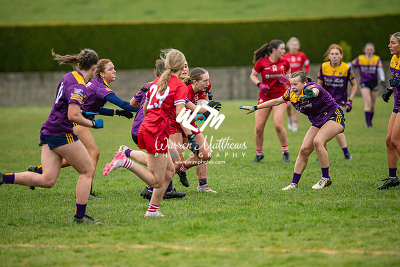 Louth v Wexford (Minor round 2) - 202503221458300500