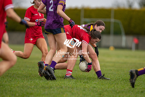Louth v Wexford (Minor round 2) - 202503221418025800