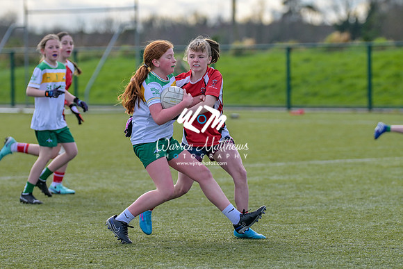 20240303 - Louth vs Clare (NFL Round 5) - 202403031444424800