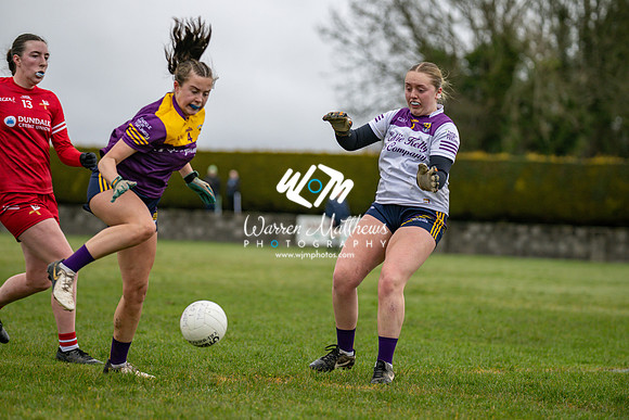 Louth v Wexford (Minor round 2) - 202503221423285600