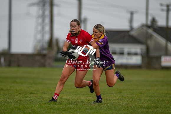 Louth v Wexford (Minor round 2) - 202503221414587000