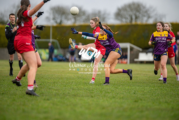 Louth v Wexford (Minor round 2) - 202503221426096100
