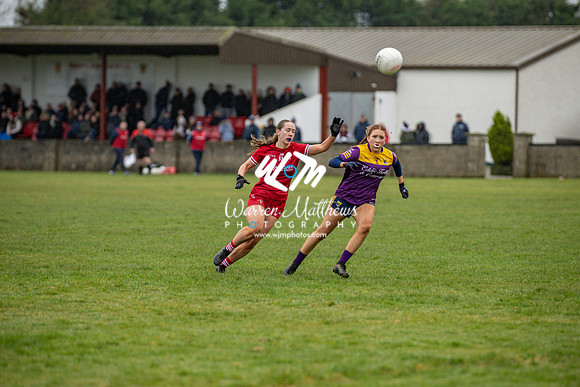 Louth v Wexford (Minor round 2) - 202503221502510500