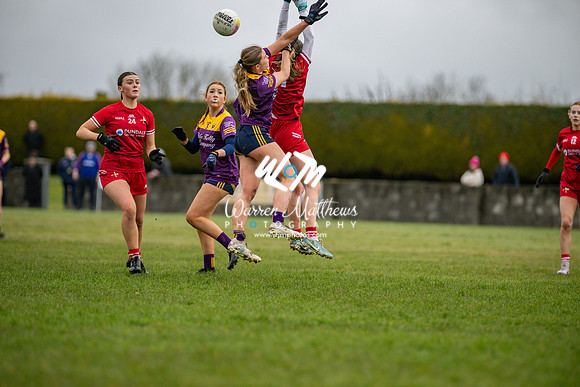 Louth v Wexford (Minor round 2) - 202503221419317200