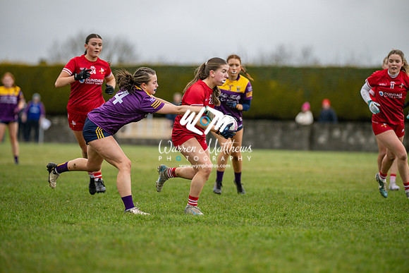 Louth v Wexford (Minor round 2) - 202503221419327400