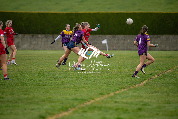 Louth v Wexford (Minor round 2) - 202503221501030800