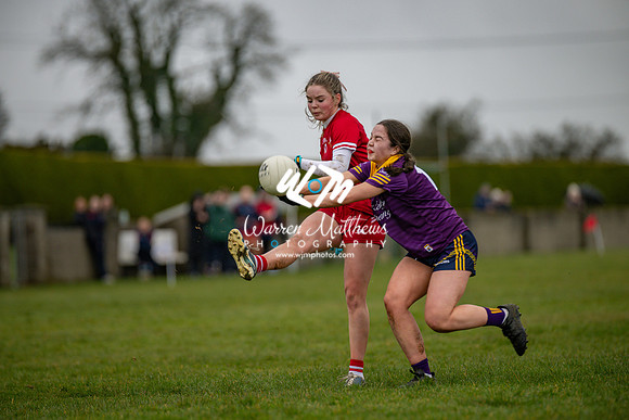 Louth v Wexford (Minor round 2) - 202503221426355000