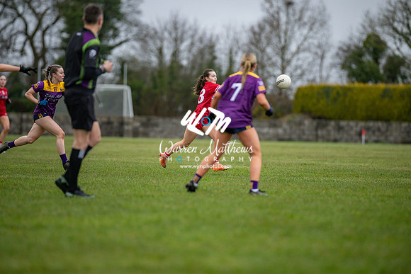 Louth v Wexford (Minor round 2) - 202503221403515900
