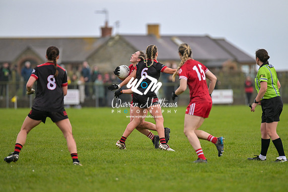 20240316 - Down v Louth (NFL Div 3 Round 6) - 202403171457192400