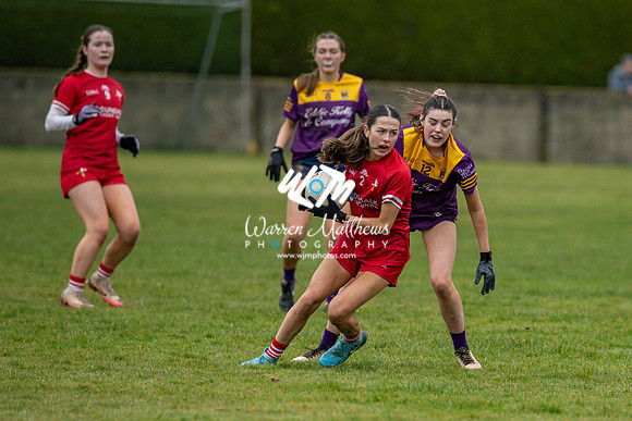 Louth v Wexford (Minor round 2) - 202503221456187000
